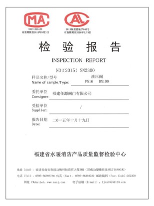 检测报告